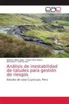 Roberto Alfaro Alejo, Fredy Calsin Apaza, Bernardo P. Coloma Paxi - Análisis de inestabilidad de taludes para gestión de riesgos
