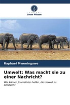 Raphael Mweninguwe - Umwelt: Was macht sie zu einer Nachricht?