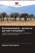 Raphael Mweninguwe - Environnement : qu'est-ce qui fait l'actualité ?