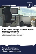 Dr Rajnish Bhasker, Rajnish Bhasker, Satqm Kumar Upadhqy, Piüsh Kumar Yadaw - Sistema änergeticheskogo menedzhmenta