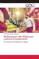 Paulo Cesar Gárate Rodríguez - Reflexiones del Régimen Laboral Ecuatoriano