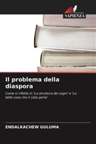 Endalkachew Guluma - Il problema della diaspora