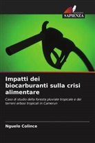 Nguelo Colince - Impatti dei biocarburanti sulla crisi alimentare