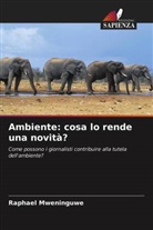 Raphael Mweninguwe - Ambiente: cosa lo rende una novità?