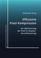 Sebastian Burg - Effiziente Pixel-Kompression zur Optimierung der End-to-Display-Verschlüsselung