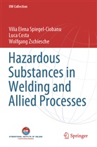 Luc Costa, Luca Costa, Vilia Elen Spiegel-Ciobanu, Vilia Elena Spiegel-Ciobanu, Zschiesch, Wolfgang Zschiesche - Hazardous Substances in Welding and Allied Processes