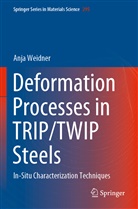 Anja Weidner - Deformation Processes in TRIP/TWIP Steels