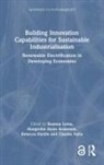 Margrethe Holm Andersen, Rebecca Hanlin, Rasmus Lema, Rasmus Andersen Lema, Charles Nzila, Margrethe Andersen... - Building Innovation Capabilities for Sustainable Industrialisation