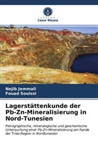 Neji Jemmali, Nejib Jemmali, Fouad Souissi - Lagerstättenkunde der Pb-Zn-Mineralisierung in Nord-Tunesien