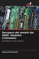 Álvaro Brú Querol - Recupero dei metalli dai RAEE. Medellín (Colombia)