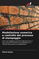 Florin Susac - Modellazione numerica e controllo del processo di stampaggio