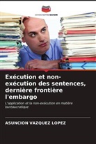 Asunción Vázquez López - Exécution et non-exécution des sentences, dernière frontière l'embargo