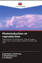 S Bhattacharya, S. Bhattacharya, Asamanja Chattoraj, S K Maitra, S. K Maitra, S. K. Maitra - Photoinduction et reproduction
