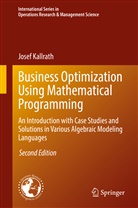 Josef Kallrath - Business Optimization Using Mathematical Programming