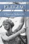Charles Seluzicki - Elegiac