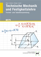 Andreas Gasser, Hans-Geor Mayer, Hans-Georg Mayer, Wolfgan Schwarz, Wolfgang Schwarz, Werne Stanger... - Technische Mechanik und Festigkeitslehre