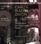 Carlos Ruiz Zafón, Uve Teschner - Der Friedhof der vergessenen Bücher, 1 Audio-CD, 1 MP3 (Audio book)