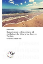 Mahmoud BALI - Dynamique sédimentaire et évolution du littoral de Kneiss, Tunisie