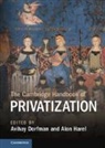 Avihay Harel Dorfman, Avihay Dorfman, Alon Harel, Harel Alon - The Cambridge Handbook of Privatization