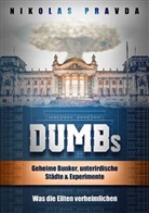 Nikolas Pravda - DUMBs: Geheime Bunker, unterirdische Städte und Experimente: Was die Eliten verheimlichen