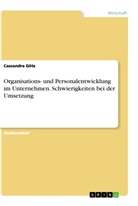 Cassandra Götz - Organisations- und Personalentwicklung im Unternehmen. Schwierigkeiten bei der Umsetzung