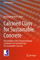 Shashan Bishnoi, Shashank Bishnoi - Calcined Clays for Sustainable Concrete