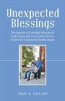 Julie B. Lofland - Unexpected Blessings