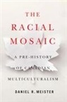 Daniel R Meister, Daniel R. Meister - Racial Mosaic