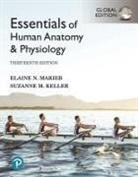 Suzanne Keller, Suzanne M. Keller, Elaine Marieb, Elaine N. Marieb - Essentials of Human Anatomy & Physiology