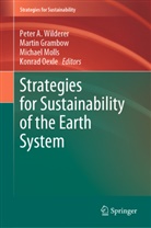 Marti Grambow, Martin Grambow, Michael Molls, Michael Molls et al, Konrad Oexle, Peter A. Wilderer - Strategies for Sustainability of the Earth System