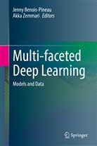 Jenn Benois-Pineau, Jenny Benois-Pineau, Zemmari, Zemmari, Akka Zemmari - Multi-faceted Deep Learning