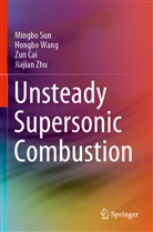 Zun Cai, Zun et al Cai, Mingb Sun, Mingbo Sun, Hongb Wang, Hongbo Wang... - Unsteady Supersonic Combustion