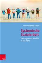 Johannes Herwig-Lempp - Systemische Sozialarbeit