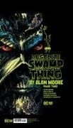 Alan Moore, Rick Veitch, Rick Veitch - Absolute Swamp Thing by Alan Moore Vol. 3