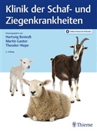 Hartwig Bostedt, Marti Ganter, Martin Ganter, Theodor Hiepe - Klinik der Schaf- und Ziegenkrankheiten