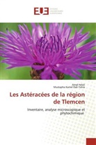 Mustapha Kamel Dali-Yahia, Amal Helali - Les Astéracées de la région de Tlemcen