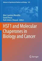 Marc Laurence Mendillo, Davi Pincus, David Pincus, Ruth Scherz-Shouval - HSF1 and Molecular Chaperones in Biology and Cancer