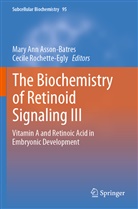 Mar Ann Asson-Batres, Mary Ann Asson-Batres, Mary Ann Asson-Batres, Rochette-Egly, Rochette-Egly, Cecile Rochette-Egly - The Biochemistry of Retinoid Signaling III
