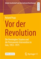 Roland Popp - Vor der Revolution