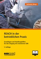 Kerstin Heitmann - REACH in der betrieblichen Praxis, m. 1 Buch, m. 1 Online-Zugang
