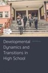 Sofie Pedersen, Sofie (Roskilde University Pedersen, Marilyn Fleer, Mariane Hedegaard - Developmental Dynamics and Transitions in High School