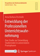 Anna Barbara Orschulik - Entwicklung der Professionellen Unterrichtswahrnehmung