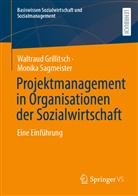 Grillitsch, Waltrau Grillitsch, Waltraud Grillitsch, Monika Sagmeister - Projektmanagement in Organisationen der Sozialwirtschaft