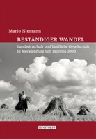 Mario Niemann - Beständiger Wandel