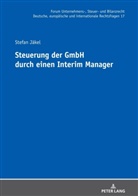Stefan Jäkel, Oliver Fehrenbacher - Steuerung der GmbH durch einen Interim Manager