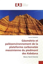 Rachid CHENNOUF - Géométrie et paléoenvironnement de la plateforme carbonatée messinienne du piedmont des Kebdana