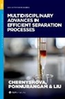 Irina (EDT)/ Ponnurangam Chernyoshova, Irina Chernyshova, Irina (Professor in the Department of Geoscience and Petroleum Chernyshova, Qingxia Liu, Qingxia (Professor Liu, Sathish Ponnurangam... - Multidisciplinary Advances in Efficient Separation Processes