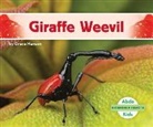 Grace Hansen - Incredible Insects: Giraffe Weevil