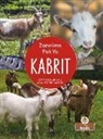 Amy Culliford - Kabrit (Goats)