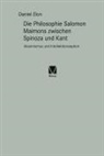 Daniel Elon - Die Philosophie Salomon Maimons zwischen Spinoza und Kant